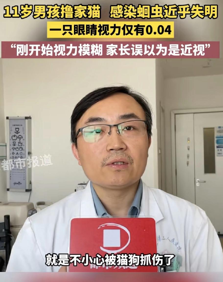 这事儿，真该给所有养宠家庭敲响警钟！

刷到这条新闻，心里咯噔一下。一个11岁的