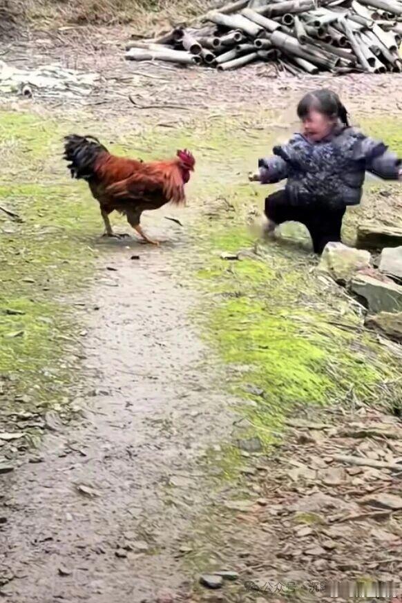 做减法道家追求清净无为，是做减法的。减少欲望减少执念减少情绪减少攀比减少人为折腾