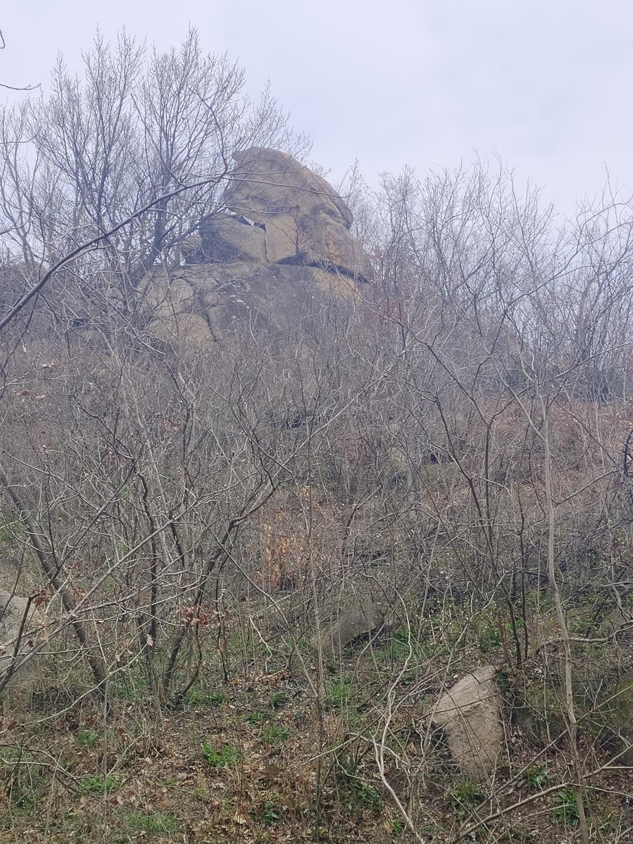 春游大山间，总能邂逅大自然的惊喜。之前去乳山岠嵎山春游，那简直是“石头狂想曲”。