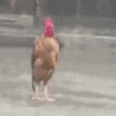 吓晕了！24 ～周末播放量都这么扑我呃呃 三月三扑 真的厉害了👏！这走势 集均