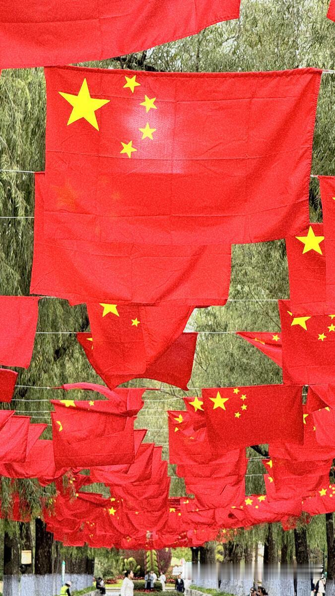 大美中国哈尔滨中国红「#2024拍照不要停」#网络文明我代言##“城事·人间“手