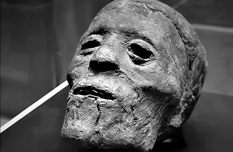 我国古代收藏的最阴森皇家物品，绝对是王莽的头颅。他的头颅，被历朝皇室不断传承，珍