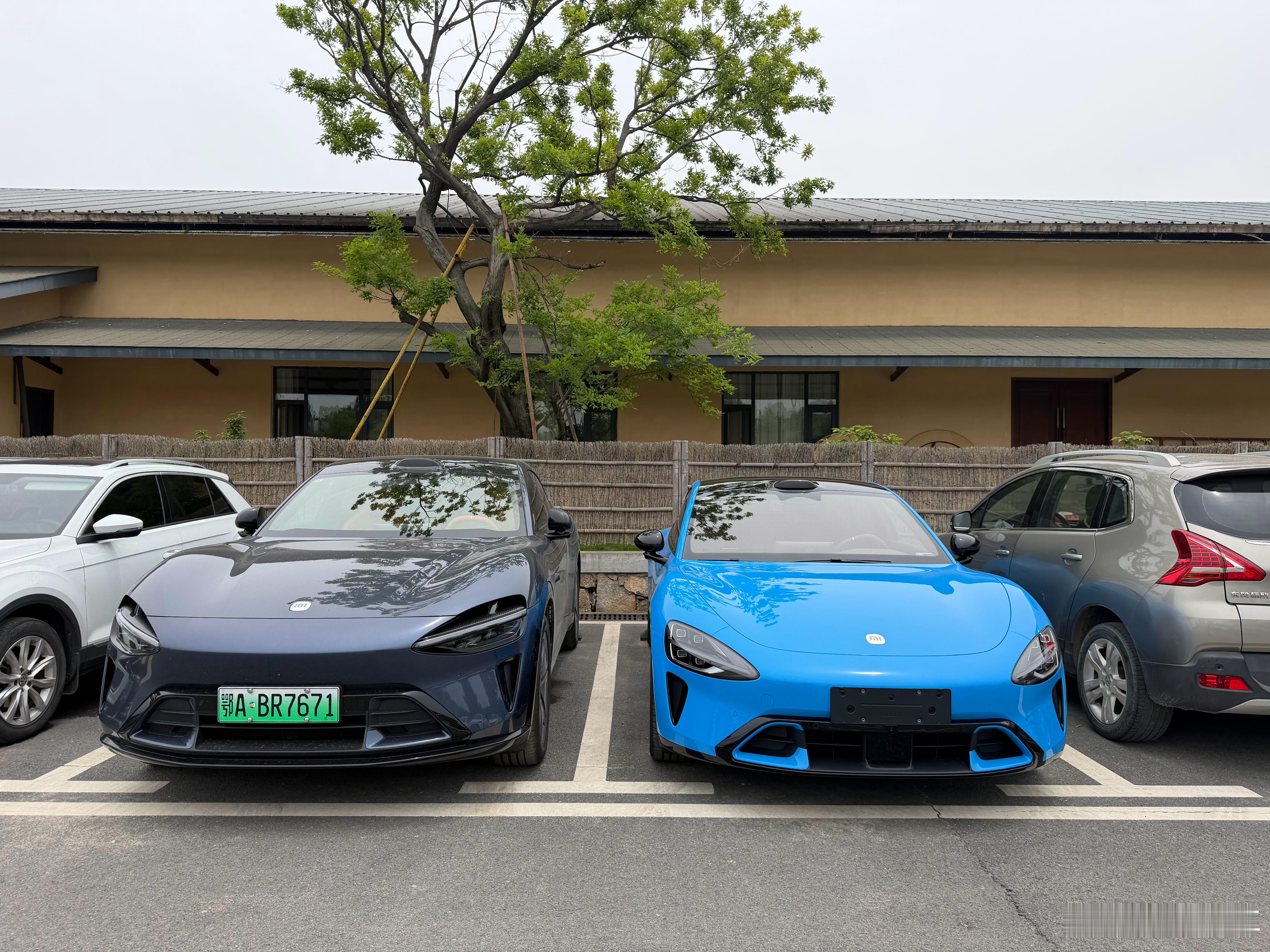 没有人逃得过颜值的魅力 