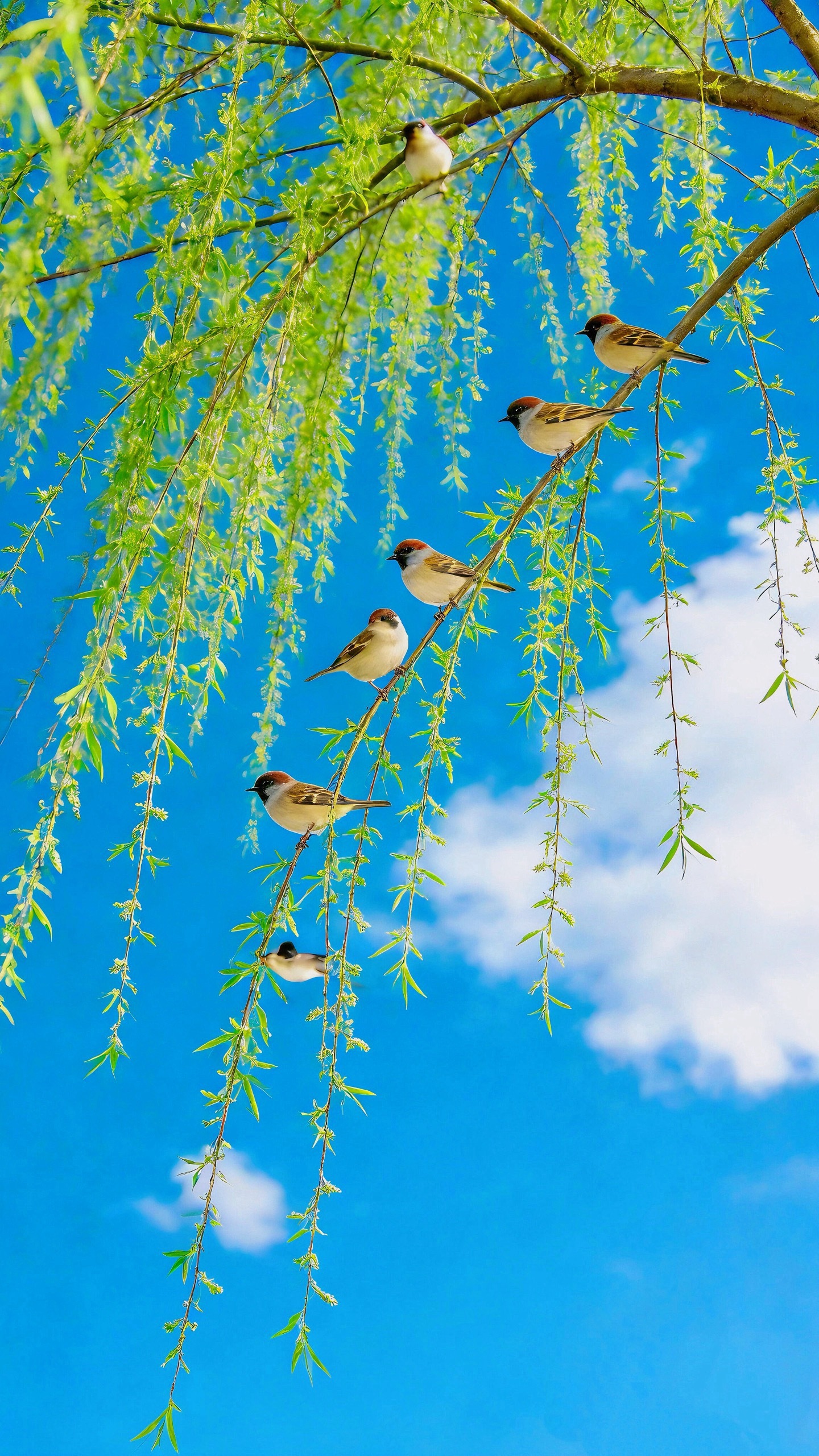 我开店和你们炒股其实一样。前几年大趋势不好疫情了（等于股灾），割肉了一部分没指望