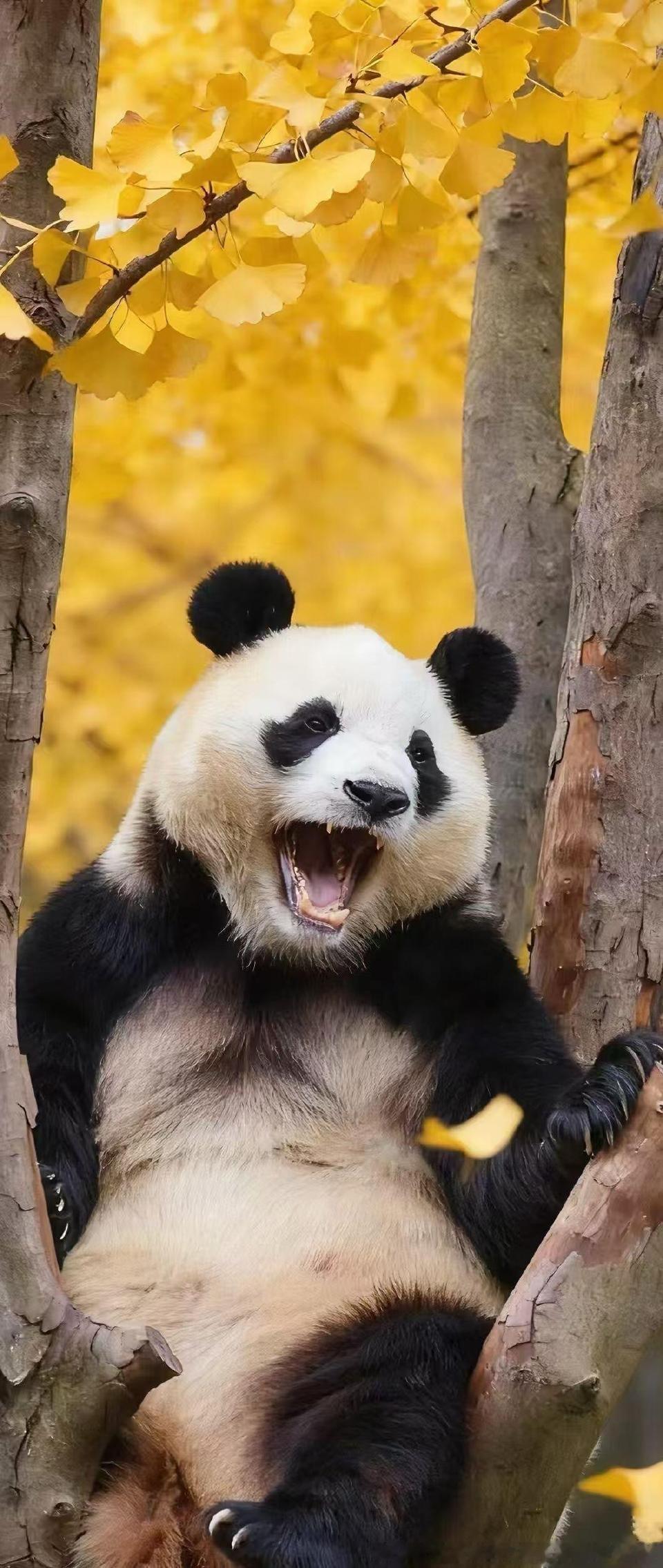 早安，不为模糊不清的未来担忧，只为清清楚楚的现在努力！ 