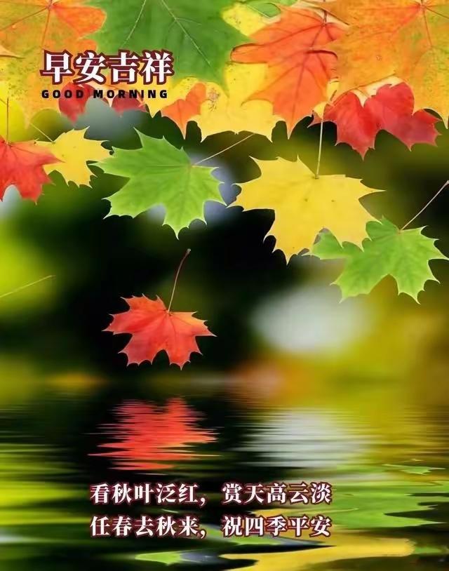 南浦诗联微信群交流录41

鄂州市诗联微信群，不到三百人。其中有多少是不写诗词的