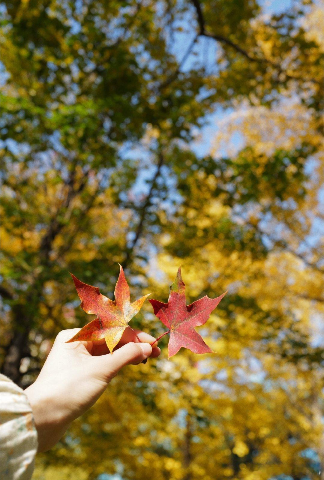忽有故人心上过，回首山河已是秋。 