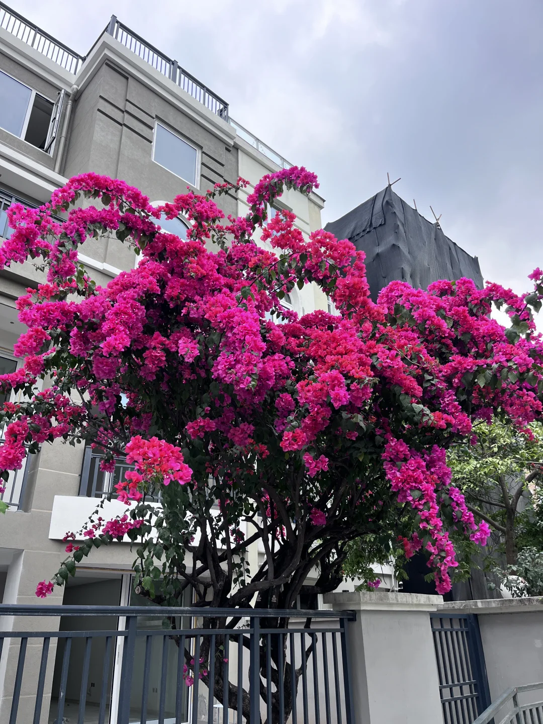 纯水岸临湖别墅快没房了！