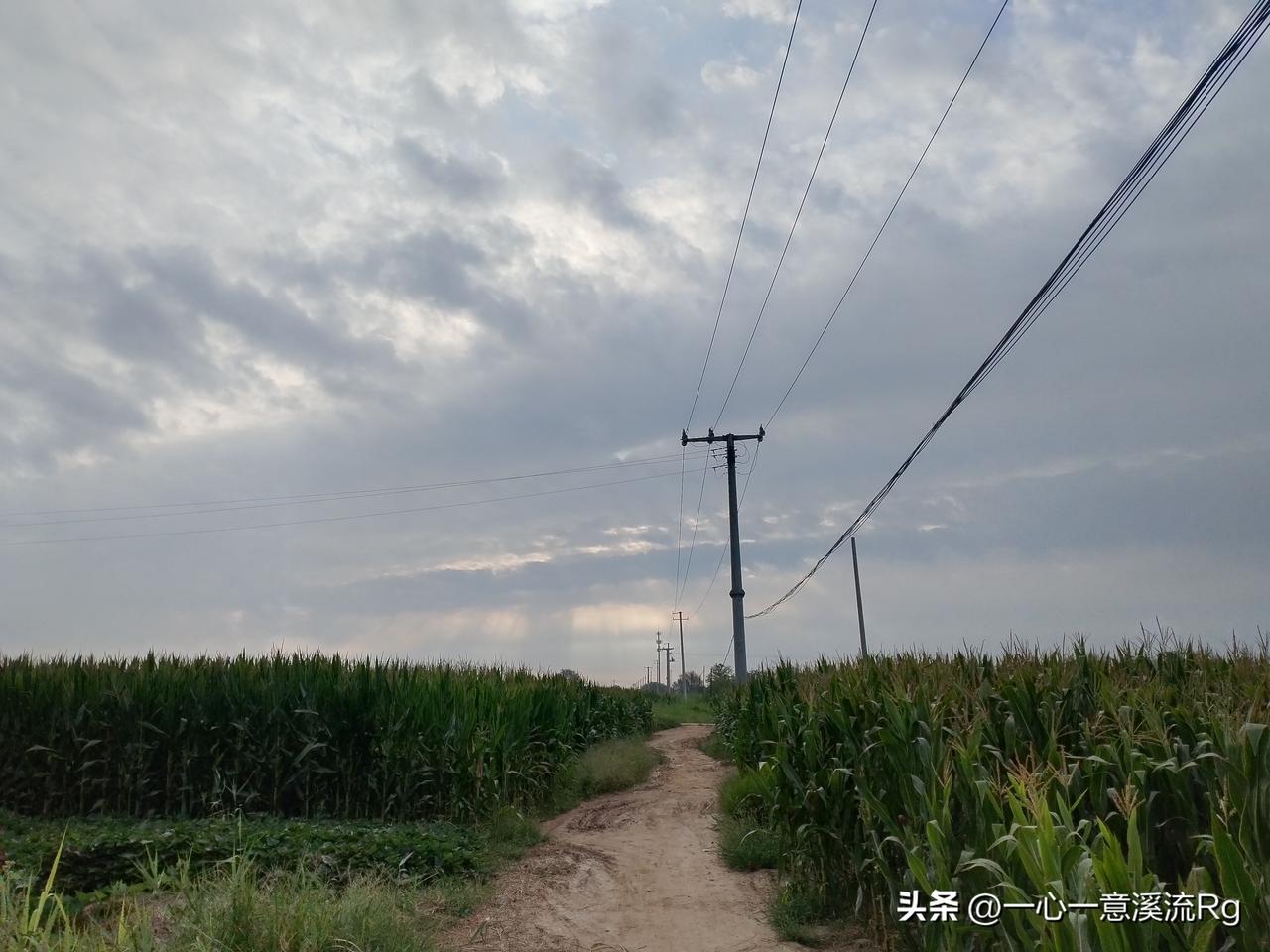 众友友早上好！
今天是8月25日星期二，日出时间5.33分，日落时间6.31分，