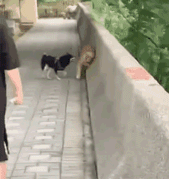 “一天天的不回家，就知道乱跑……”
“哎呀，烦死了，别再叨叨了，我错了！”