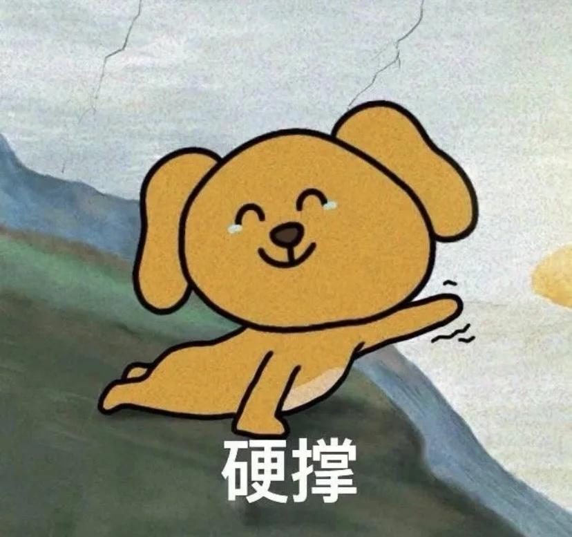 众筹救狗被骗
在群里发布流浪狗被撞需要救助的消息，向大家进行众筹，将自己伪装成1