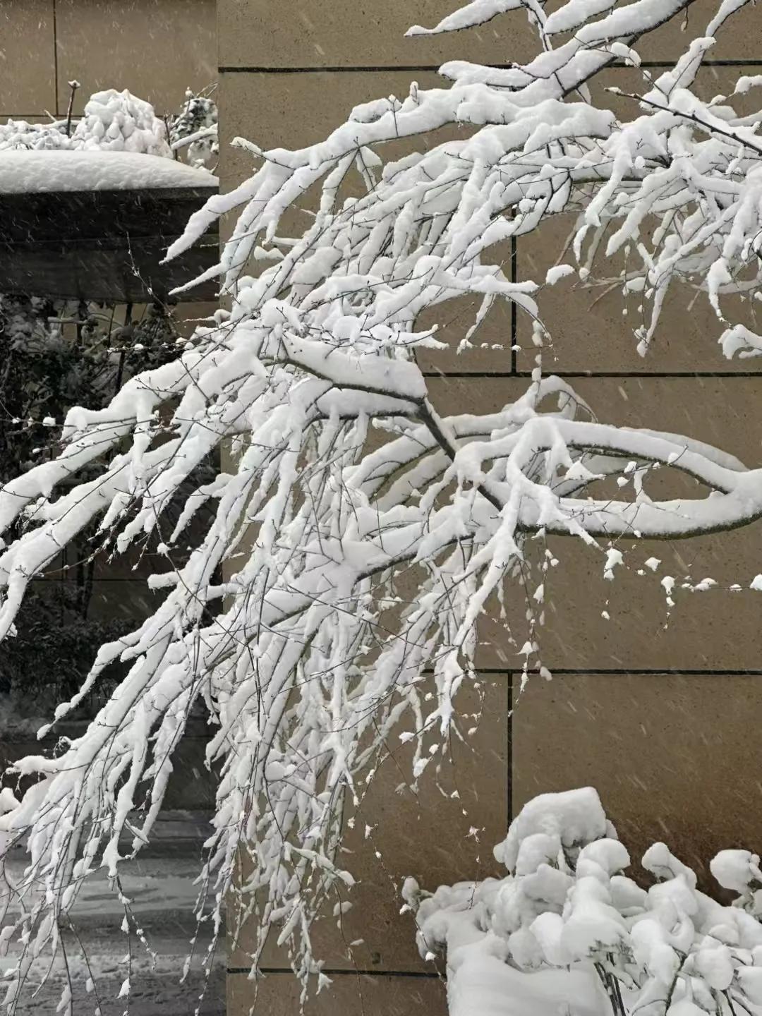 拍一张你的城市美景今日济南暴雪。