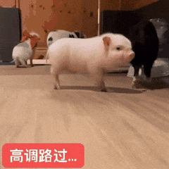 先完成再完美 都没完成就完美啦 
