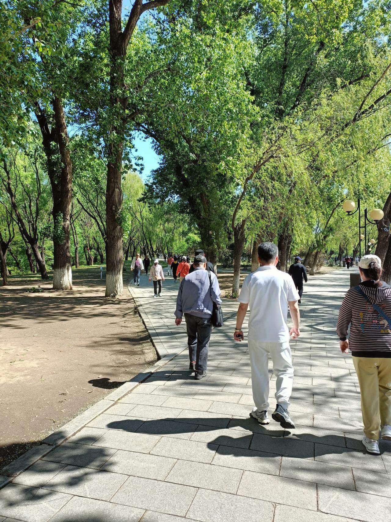 什么样子的人生才算最好？我觉得不是站在云端的风光无限，而是脚踏实地的人间烟火。