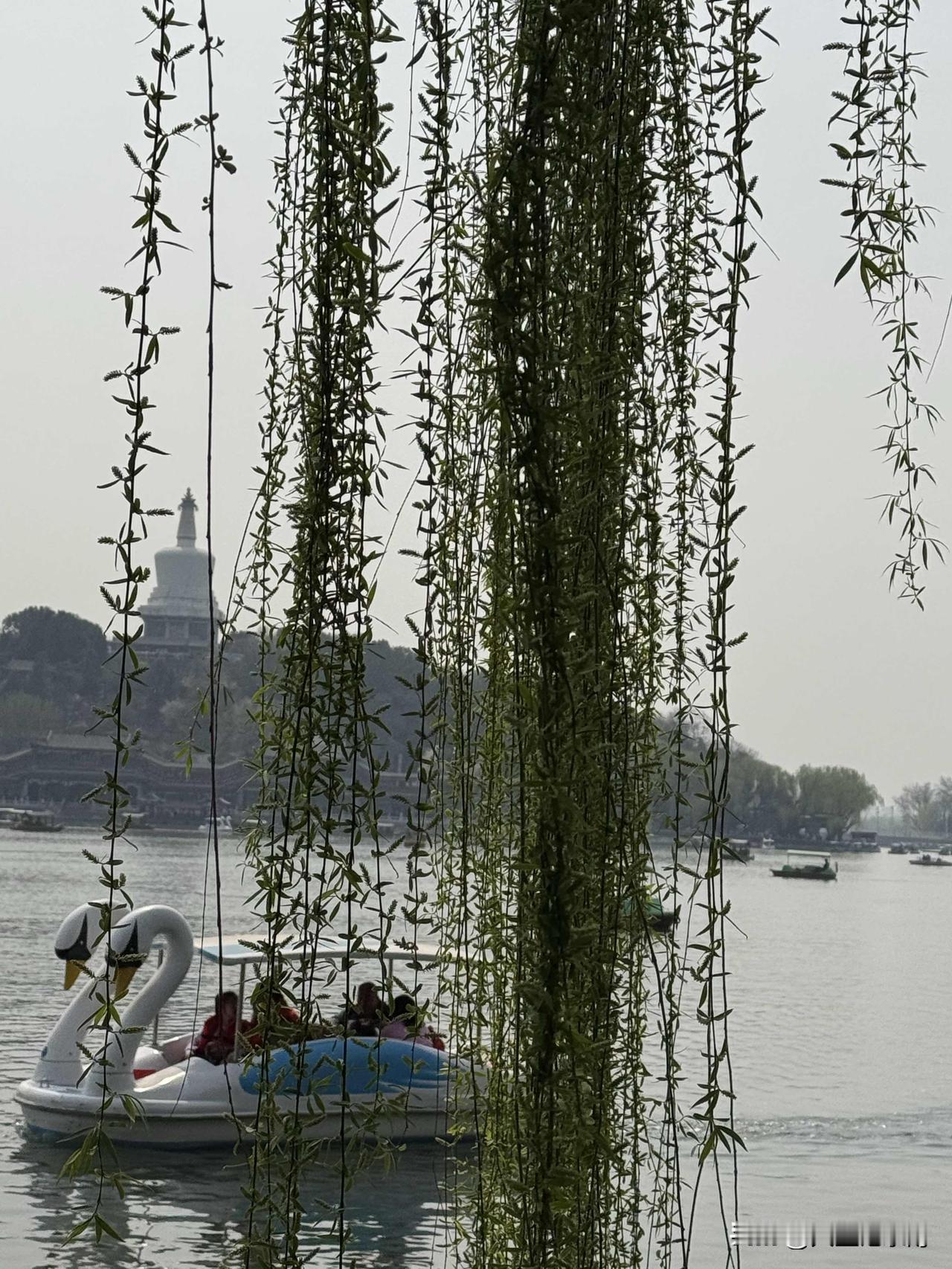 保命教科书，我的同学。
已经过去三十多年了，还活的好好的。
那天酒后不是脑子还清