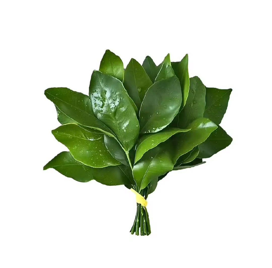 🧱＋🍎抽个5.21🧧去去晦气 🈲不礼貌双人喜欢给我发sx通知的 看头像和