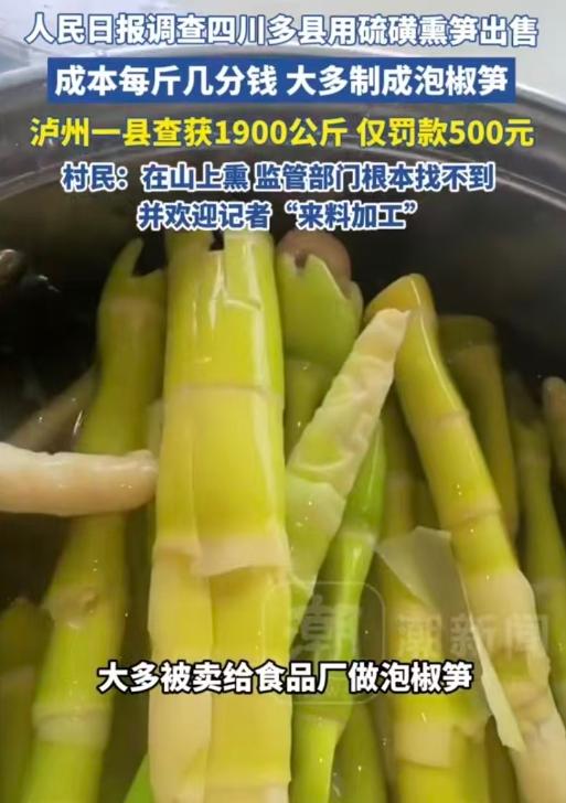 “上人民日报了！”四川，一男子是记者。他暗访发现，很多地方的村民，直接在山上违规