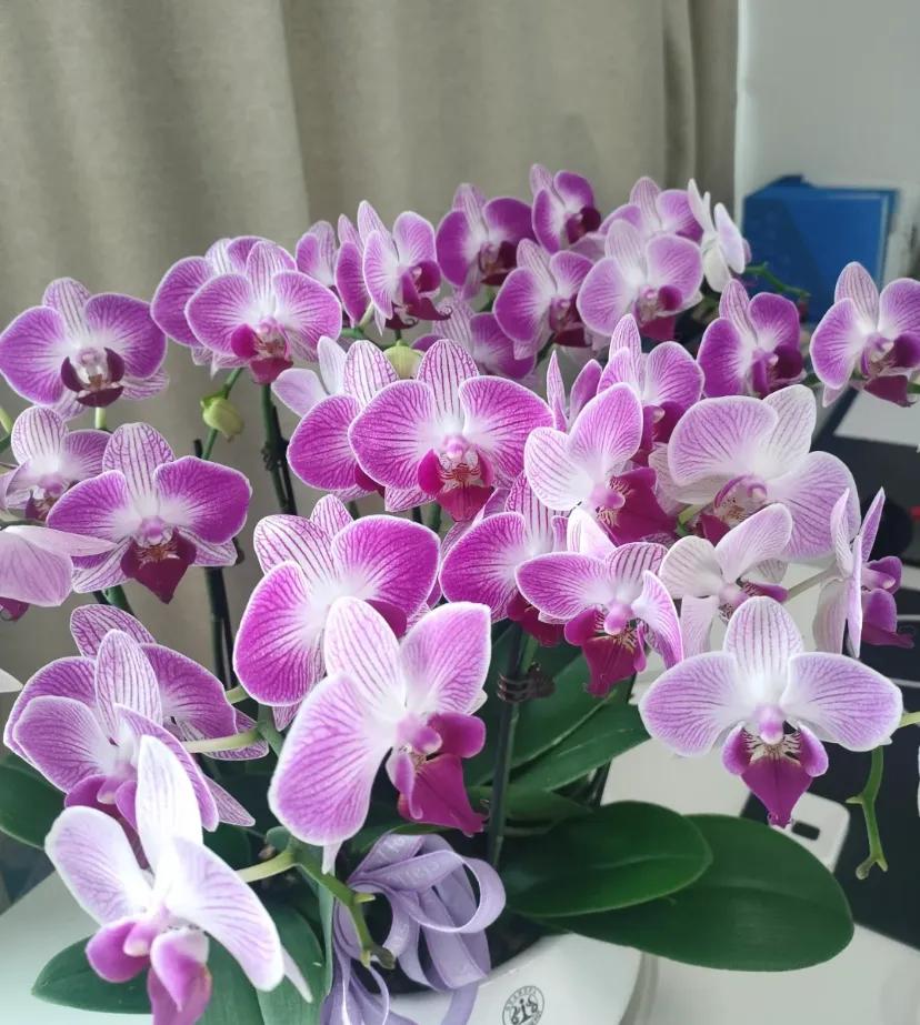 社会竞争真的很残酷，我们公司老板今天又让2个人离职了!

工作了2个月一起也有点