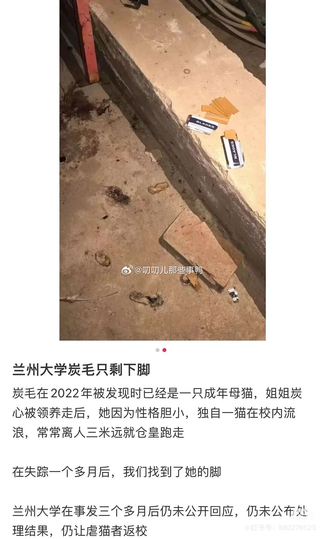 我的天啊，没人管管吗！！