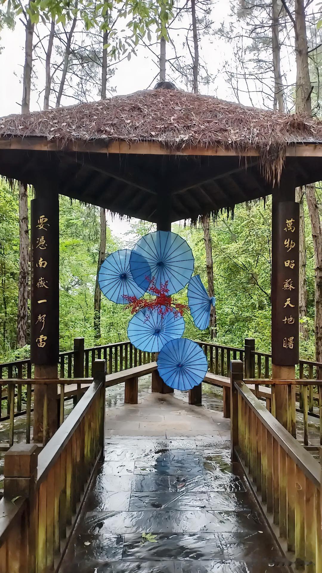 良得论“背后”
 
未经他人事，勿扰他人言，半生万般心酸累，寥寥几人知我心苦。
