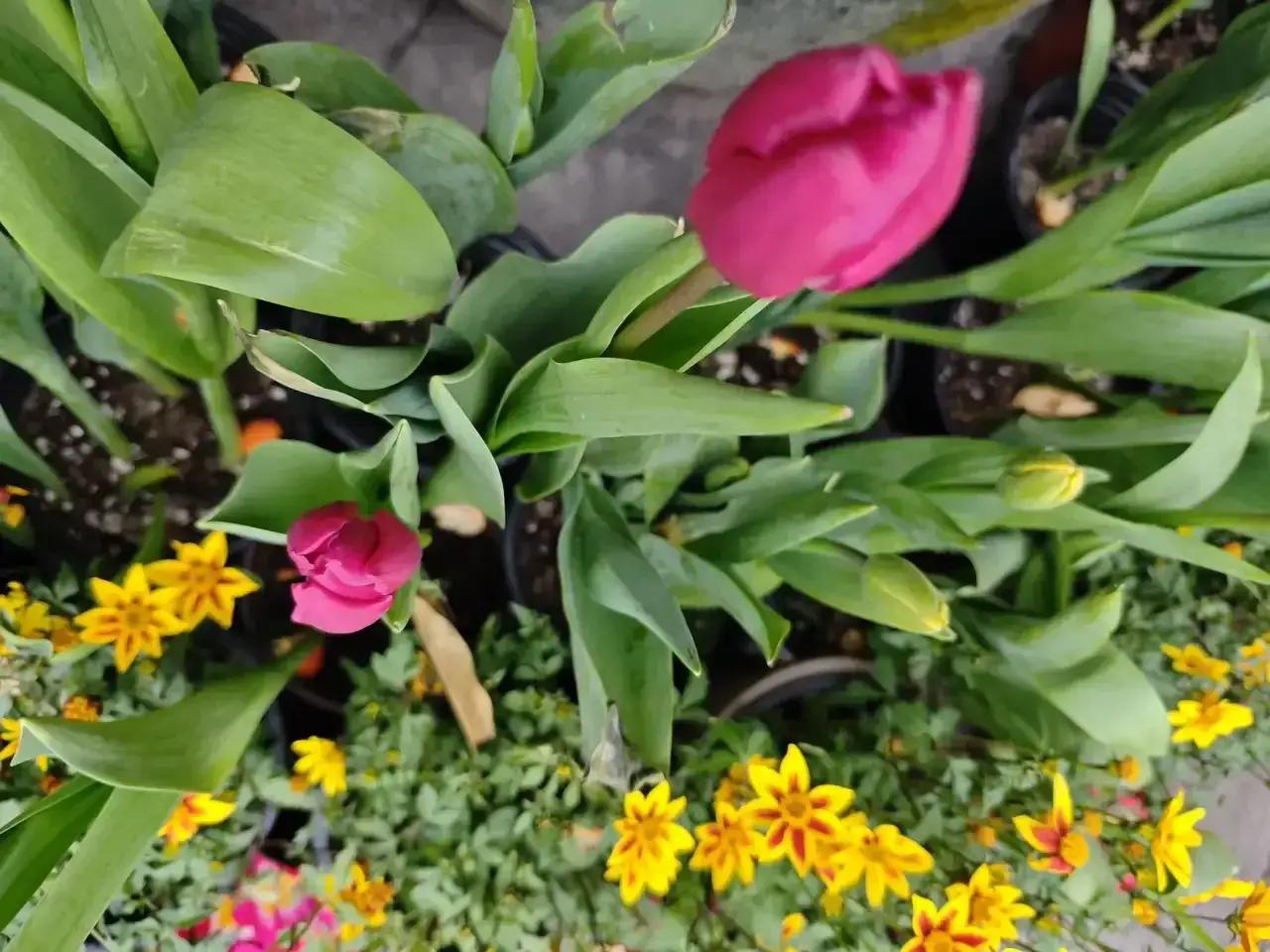 让我们一起遇见春天，遇见美好的季节，遇见大地回春万物复苏的季节，让我们一起读懂春