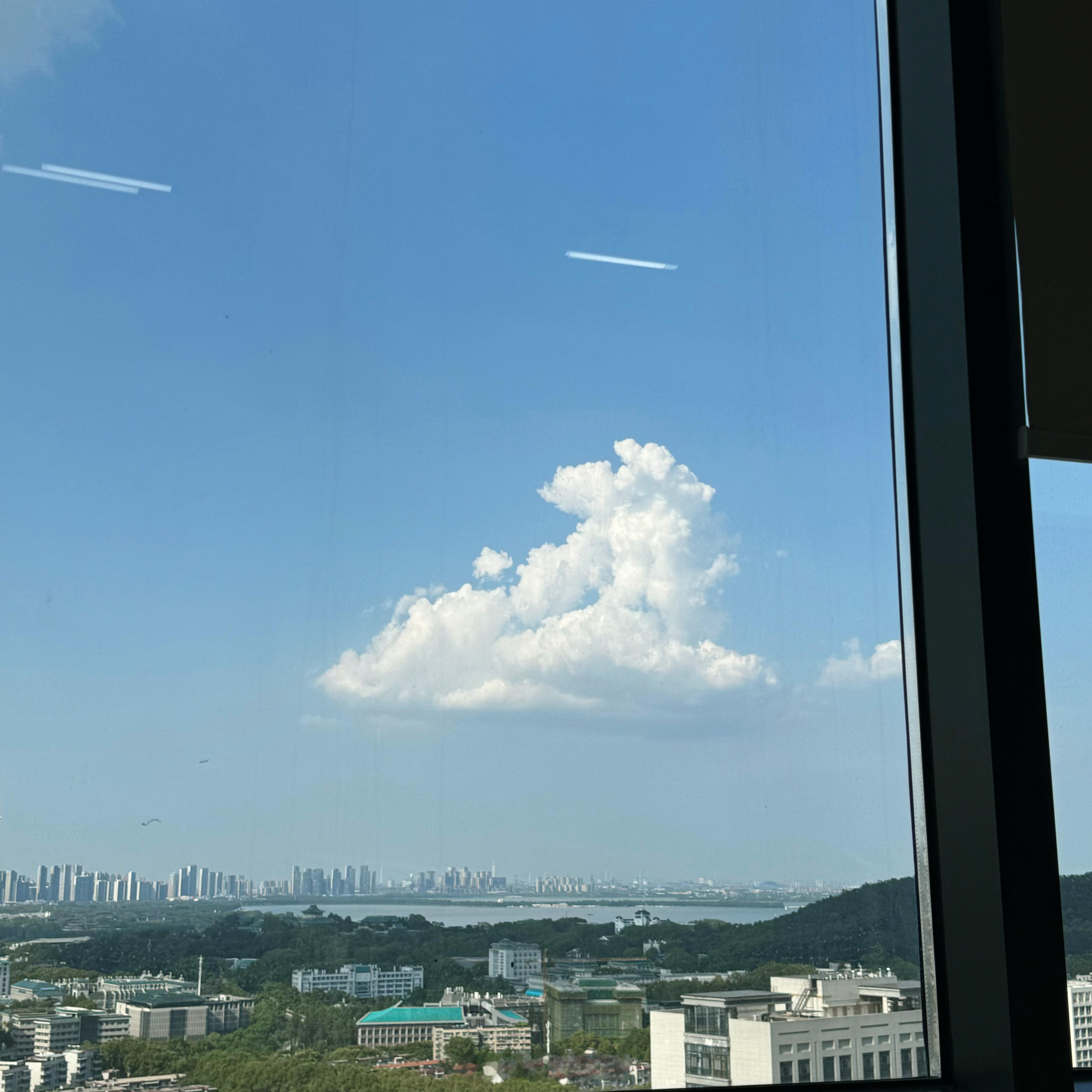请你们看小狗云 ​​​
