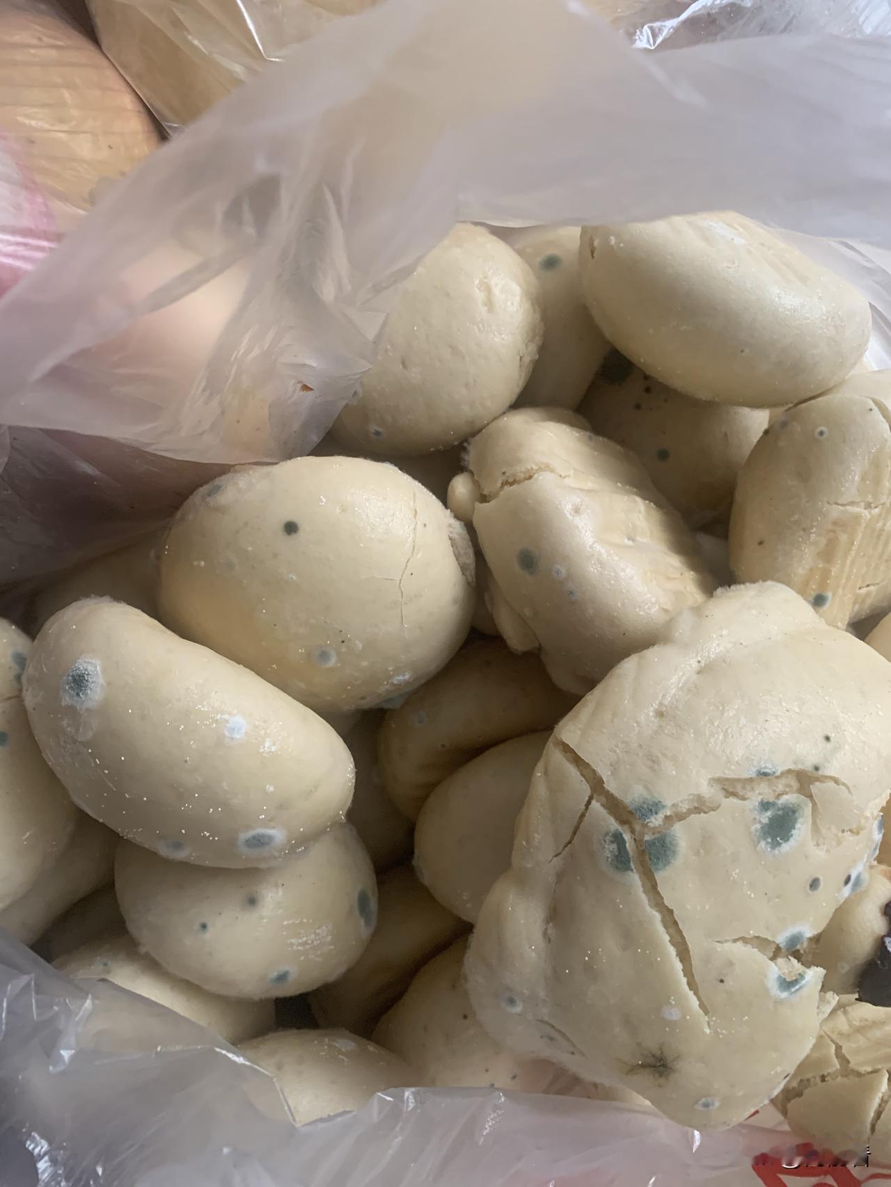 偷偷的扔掉了一袋子发霉的馒头和油饼，因为担心婆婆会把长毛的馒头热一热再继续吃。