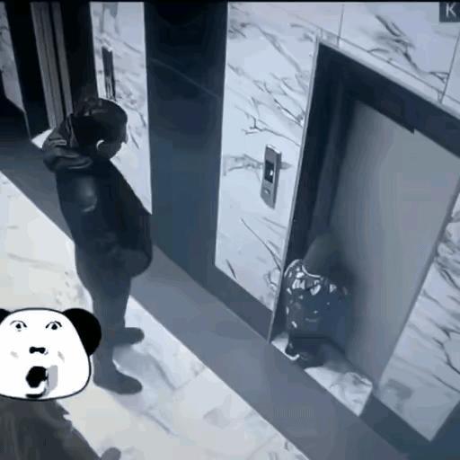 我尼玛，这物业和电梯厂家要赔死[xiaochou]