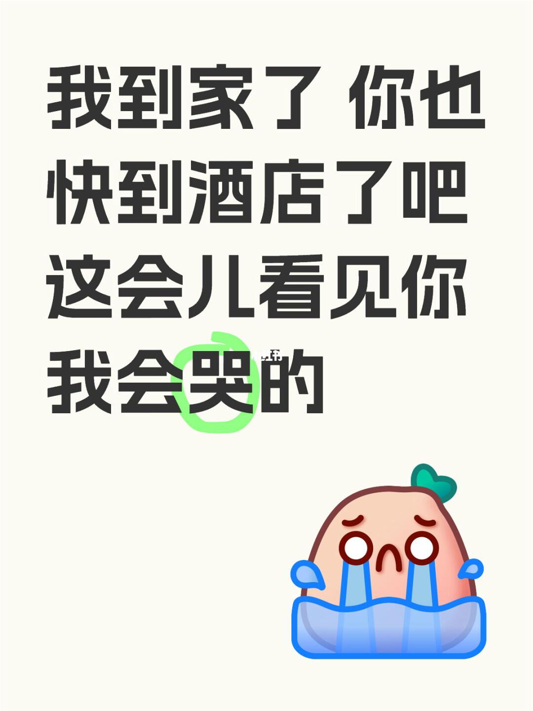我到家了 你也快到酒店了吧 这会儿看见你 我会哭的