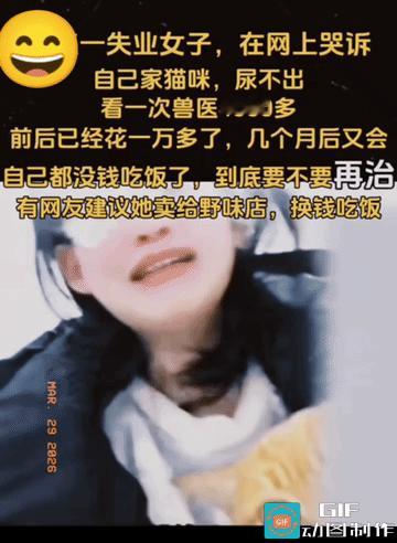 心操大了，日常就累了。
养了就要负责任，一定要给它治下去，不能虐待动物，活人不能