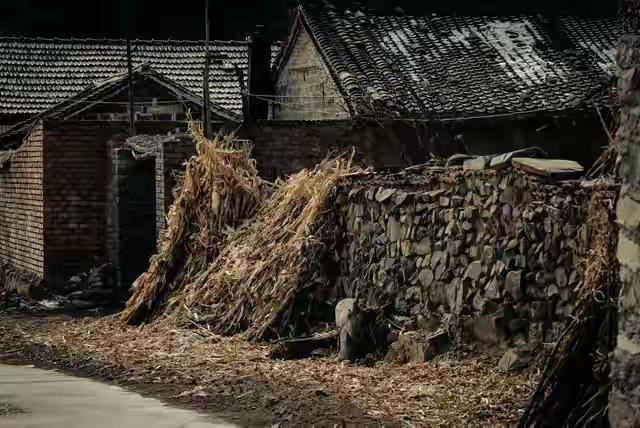 那年父亲生病，村里有人办喜事，母亲不许我们出门，后来有人来找

锣鼓声隔着土墙往