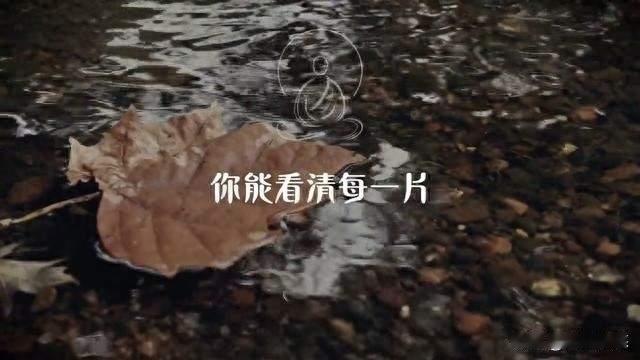 56岁还在拼四胎的钟丽缇：三段婚姻三个女儿，她从没按标准活过