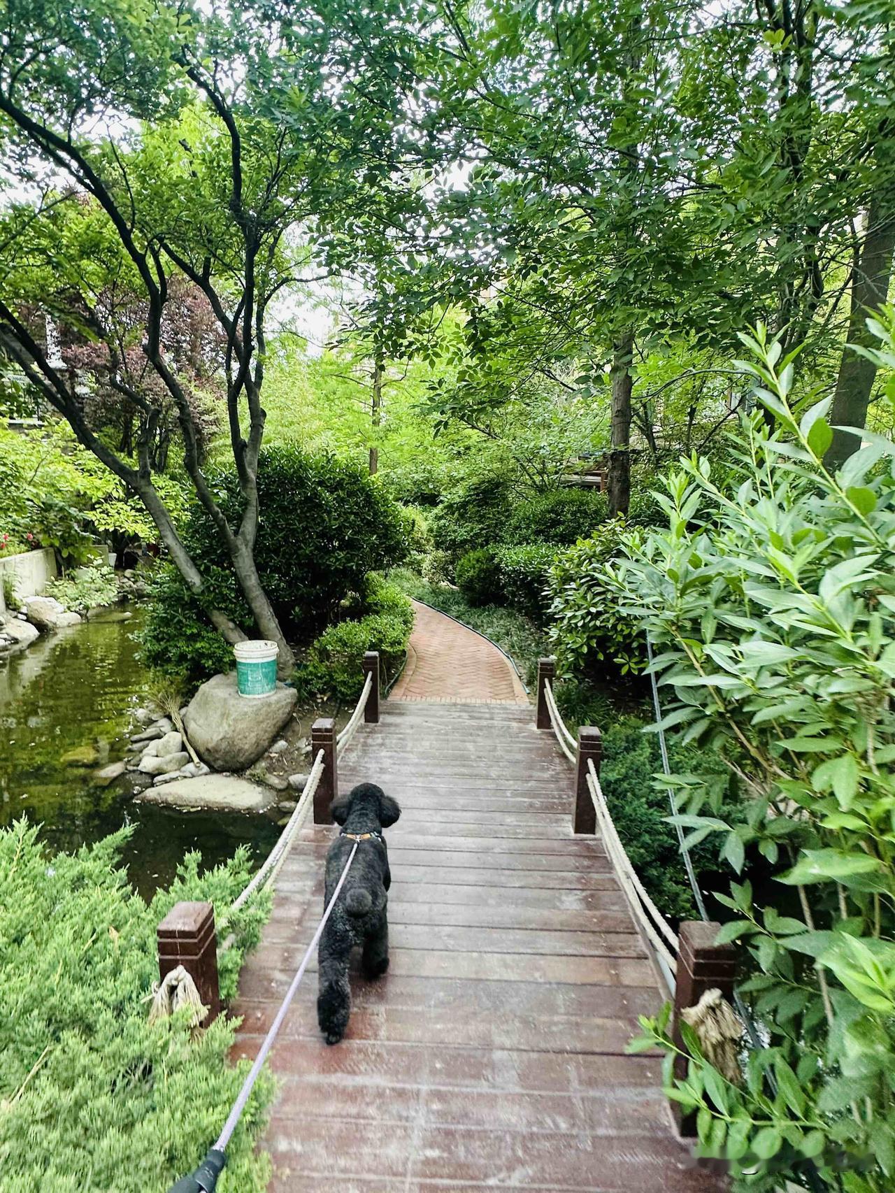 心情很平静，跟昨天一样。
虽然给大家的误解认为我心情很糟糕。
甚至有很多姐姐们单