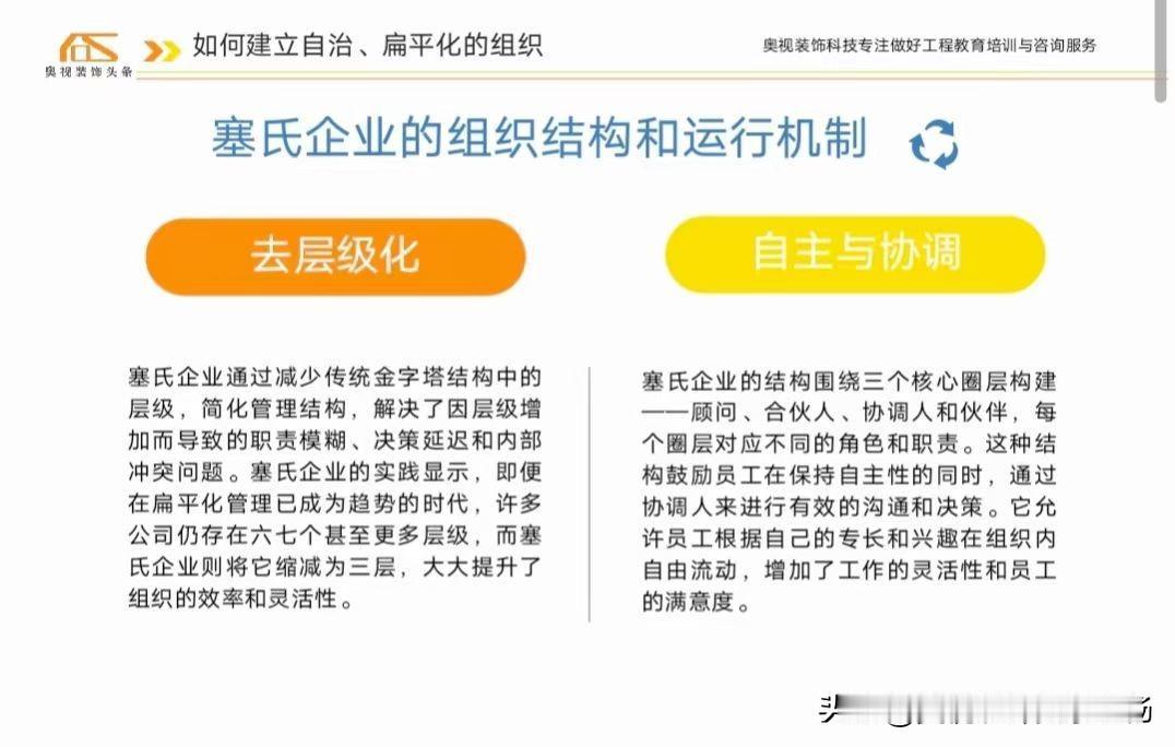塞氏企业组织结构，没有传统的职能部门，采用扁平、去中心化和赋予员工自主权的模式。