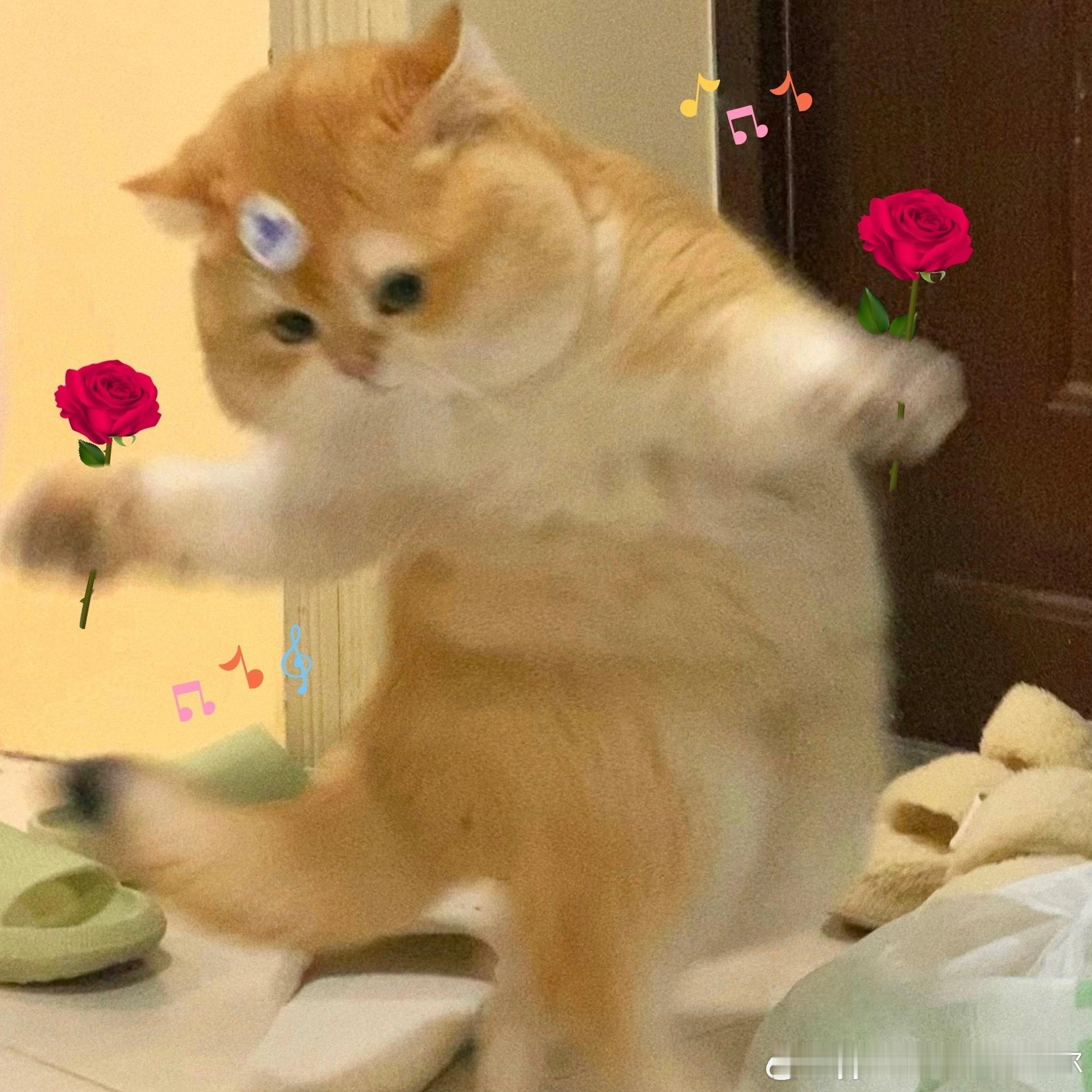 #阴阳师手游[超话]##超话创作官##夏日畅想季# 评论区给宝宝们抽5个花合战，