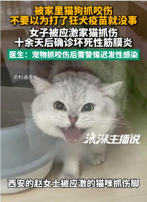 8月7日报道陕西西安，一女子被家猫抓出血，全程规范打完疫苗、伤口快速结痂后本以为