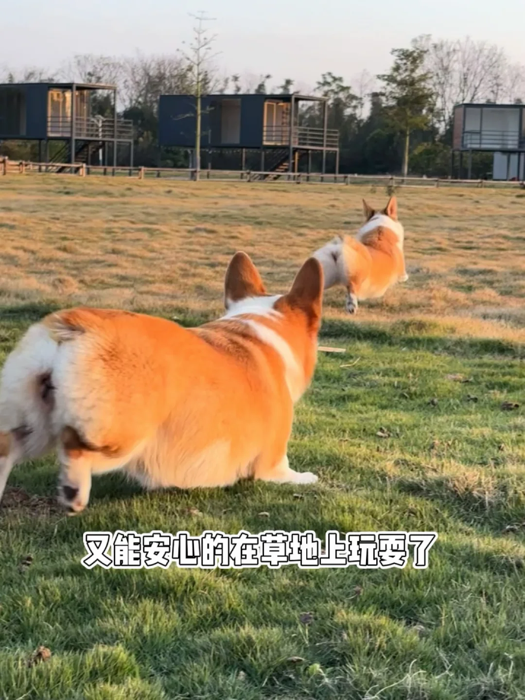 何不甜夏日养护指南