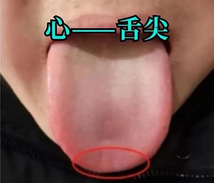 揭秘中医舌诊奥秘，五脏健康一目了然

在浩瀚的中医宝库中，舌诊作为一门独特的诊断