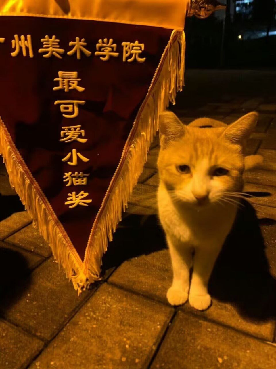 确实可爱👍 ​​​