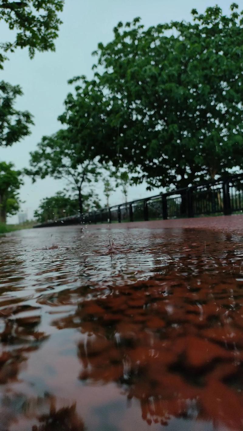 连绵阴雨天会影响维D合成我的维D怕是快“见光死”了！ 太阳再不上班，我体内的“阳