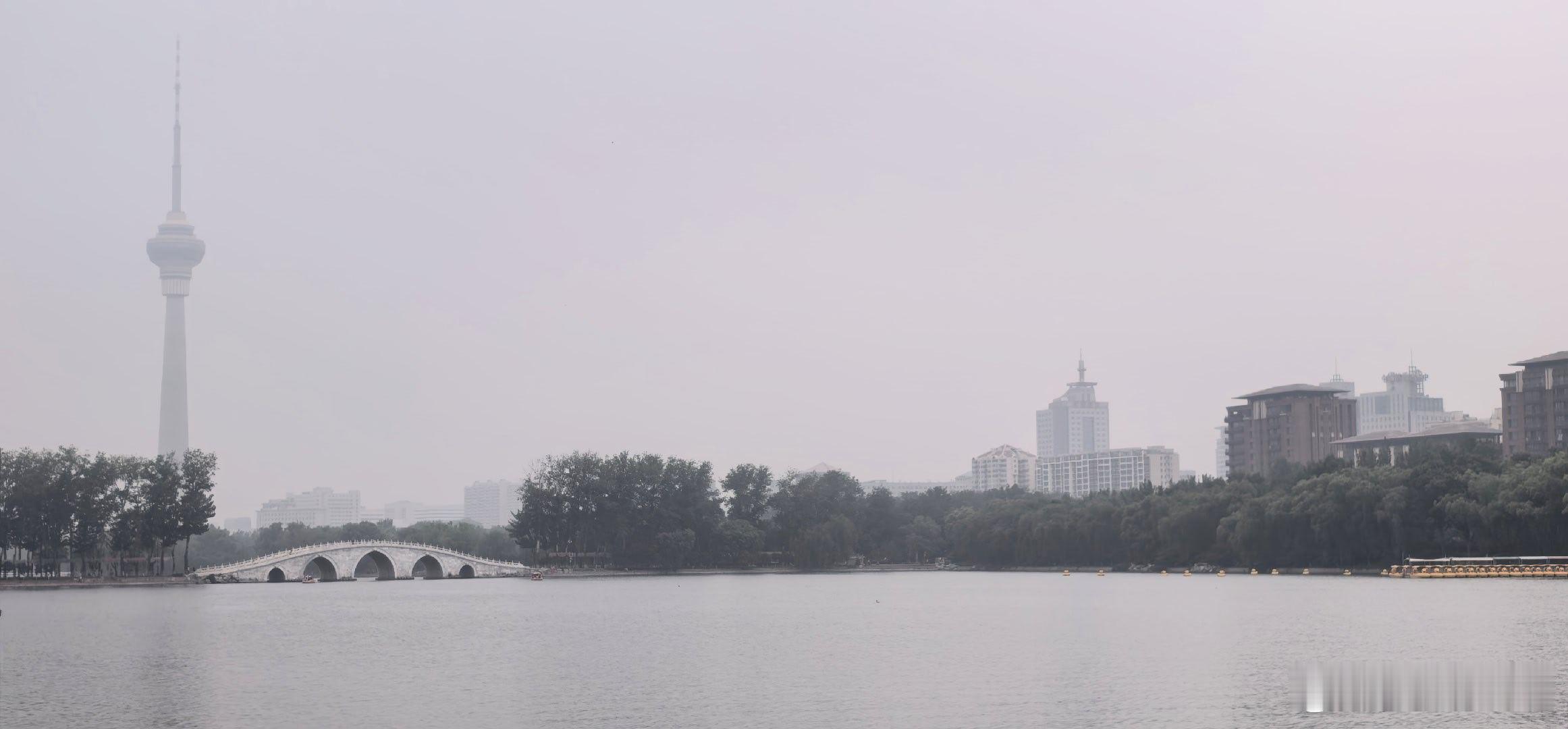 北京初夏，雾朦朦花艳艳，天鹅野鸭家家欢摄影 