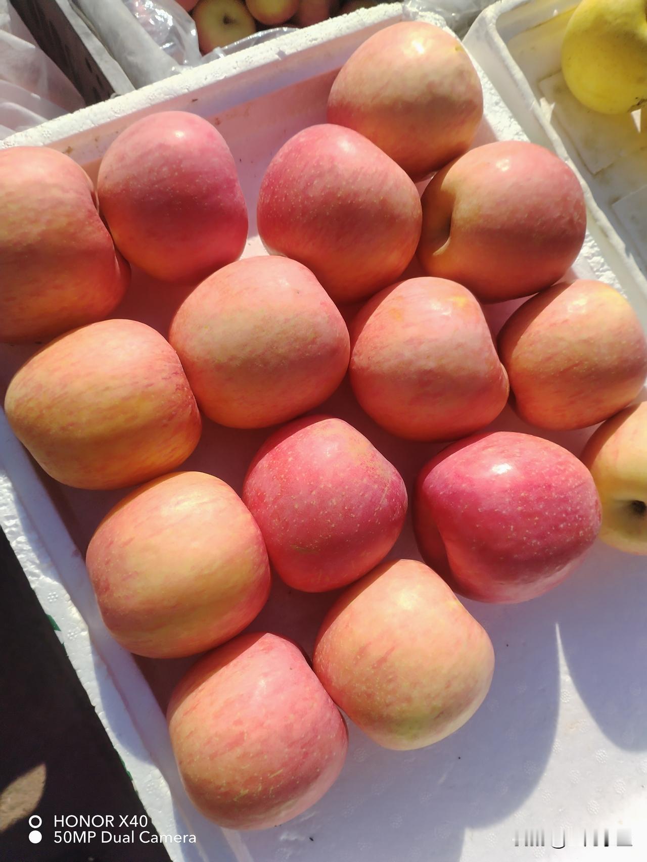 闺女和女婿昨天开始了蜜月旅行，我们各有各的开心。只要互相感觉对就好。

闺女和我