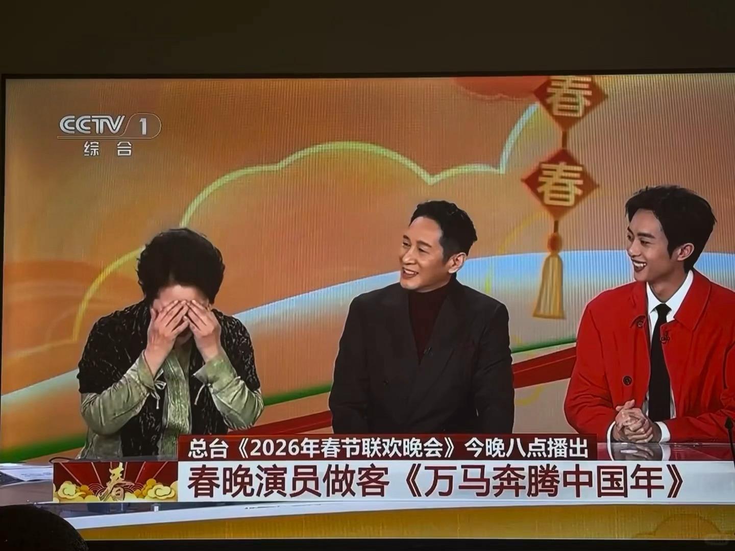 陈俊生丈母娘上春晚了啊 