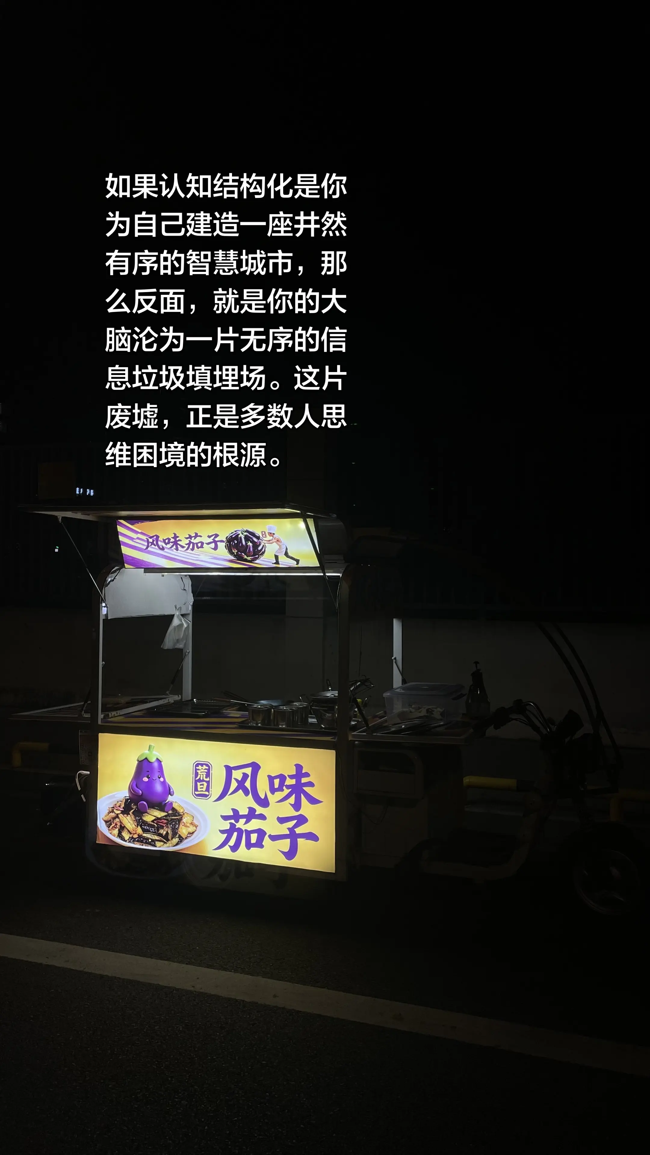 认知结构化