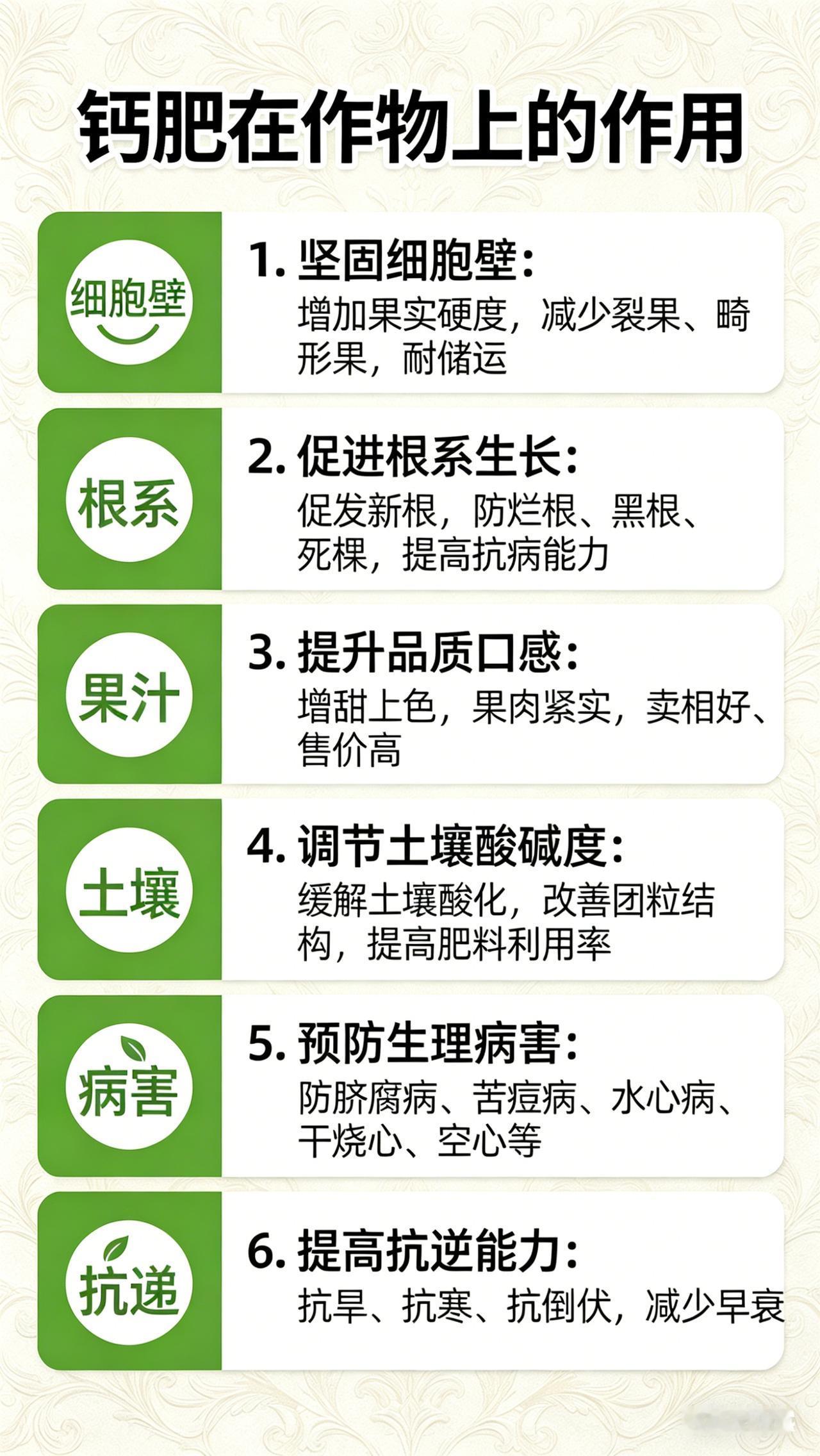 蔬菜补钙总没效果？90%的人搞错了吸收规律！
种菜的朋友一定遇到过这些烦心事：番