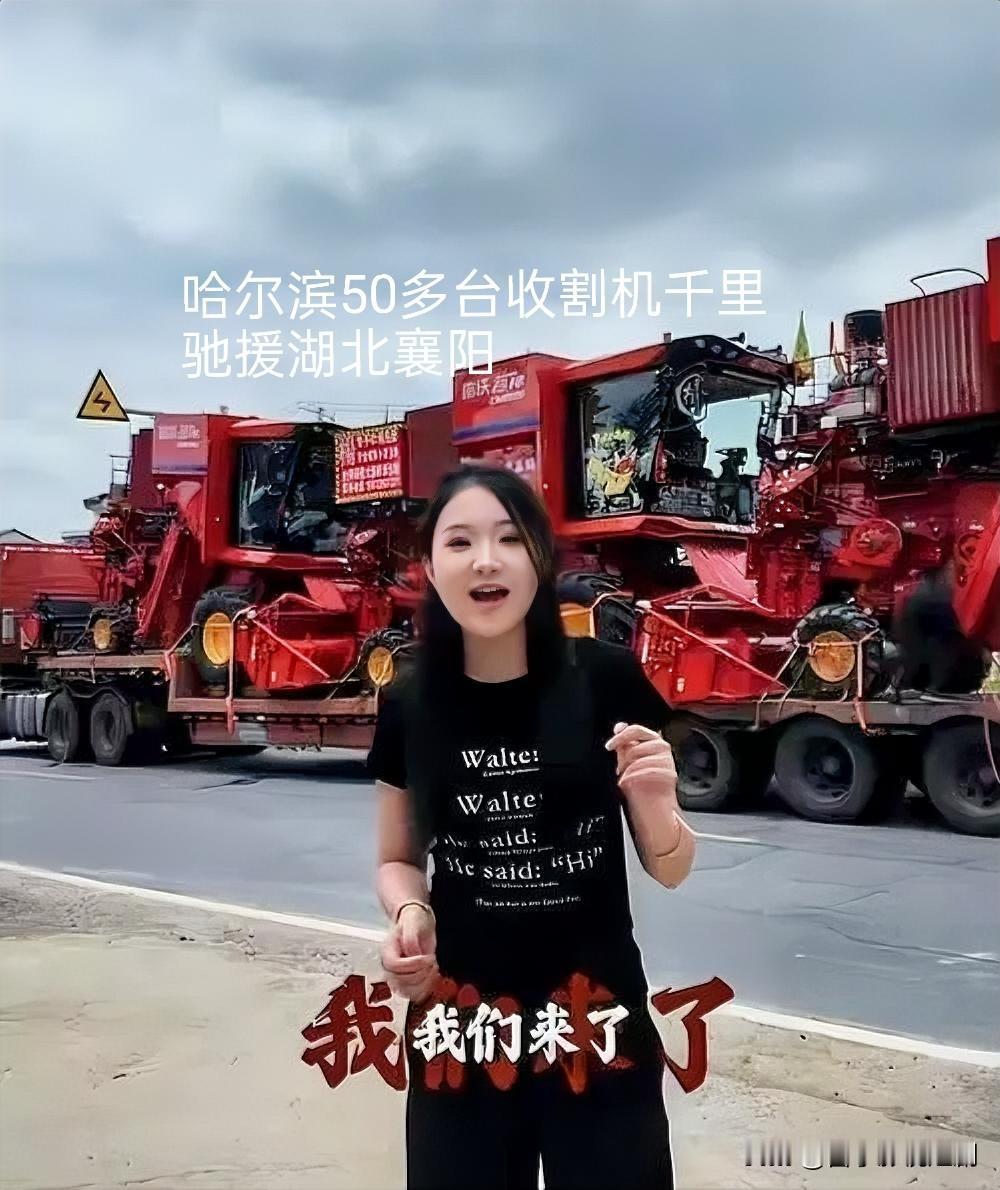 千里驰援，共护襄阳丰收
暴雨将至，湖北襄阳536万亩小麦面临烂在地里的危机。哈尔