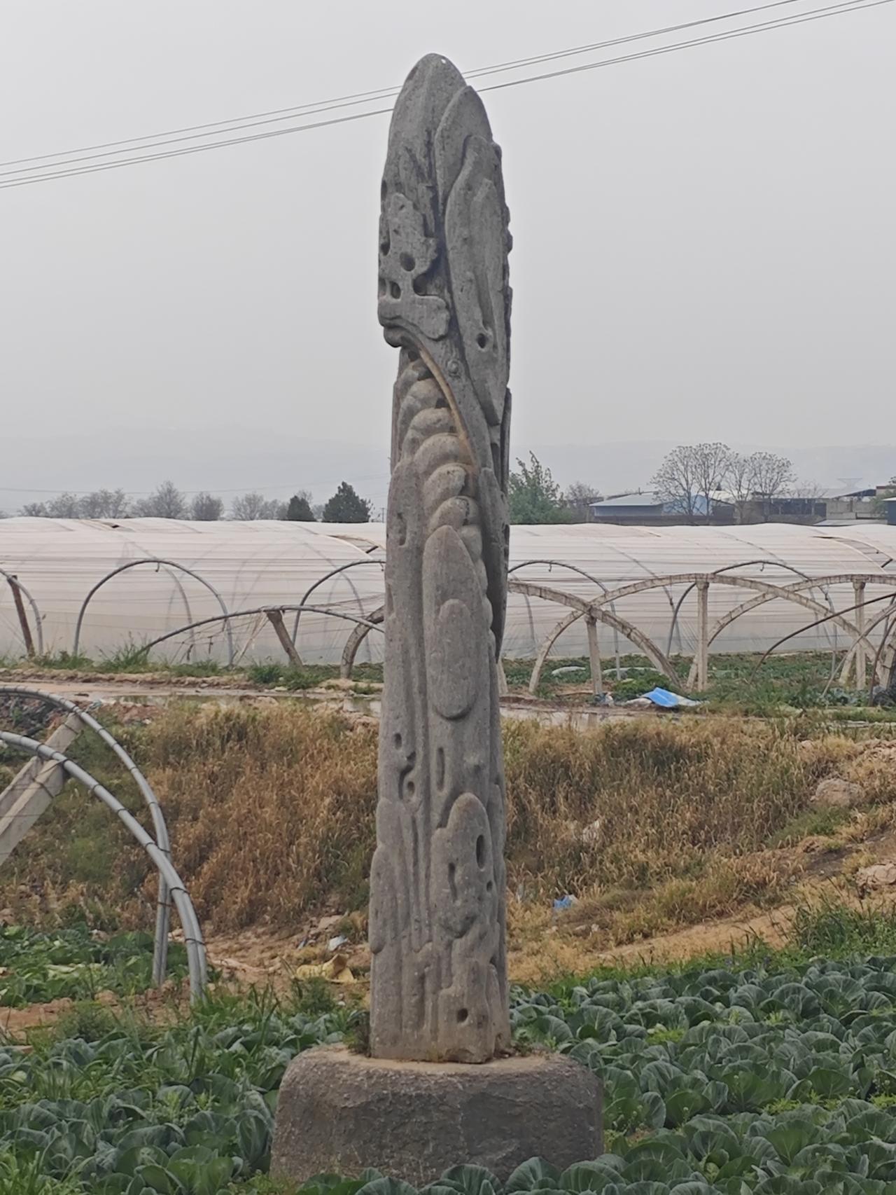 龙凤石背后的故事

泾阳龙凤石，就在安吴镇的下门村，位置在王家村南一公里处。离开