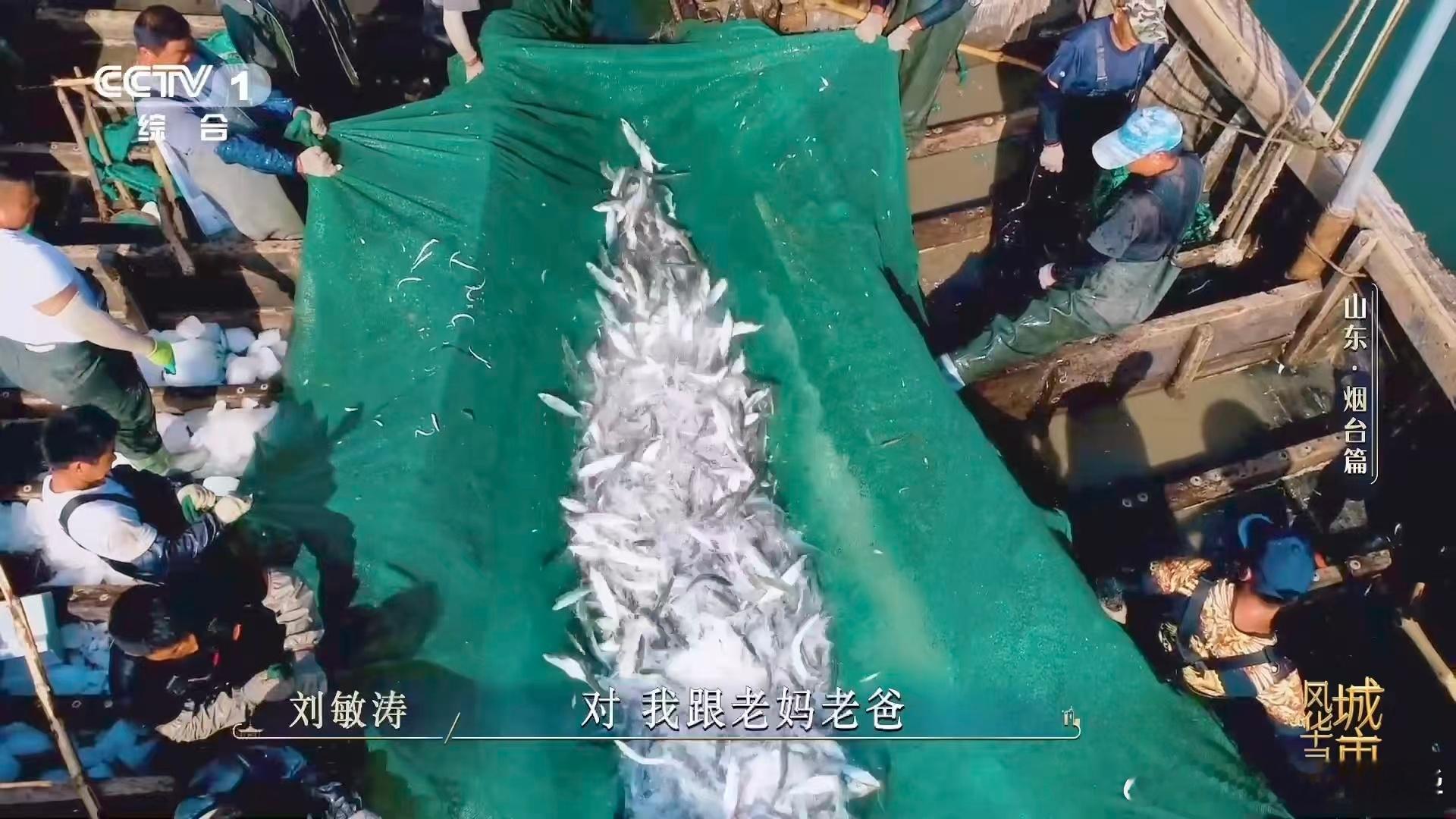 一张饺子皮就能包下一个大海用鱼肉包饺子你吃过吗小众美食安利！鱼肉包饺子口感软糯鲜