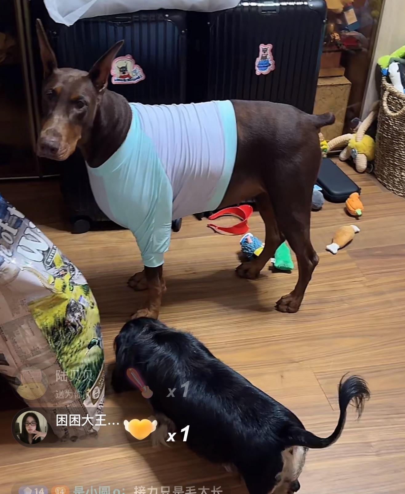 lulu的衣服会不会太松了 ​​​