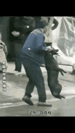 这大哥狠人一个!面对不栓绳咬了自己的烈犬，两手死死揪住耳朵不撒手，无论狗主人怎么